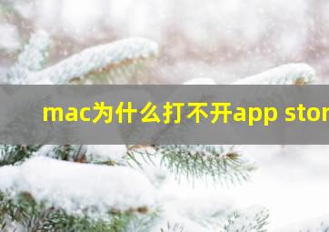 mac为什么打不开app store